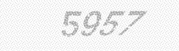 Visual security code — type the characters shown in the image